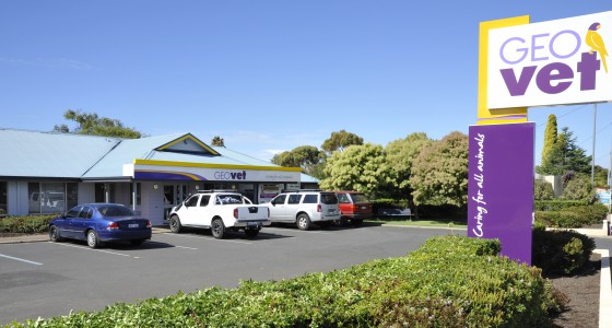 The exterior of GEOvet's Busselton clinic on Bussell Highway