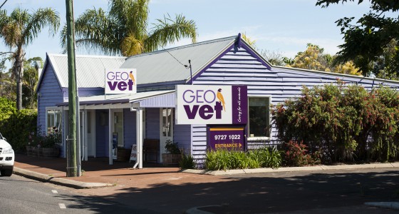 The exterior of GEOvet's Capel clinic on Forrest Road